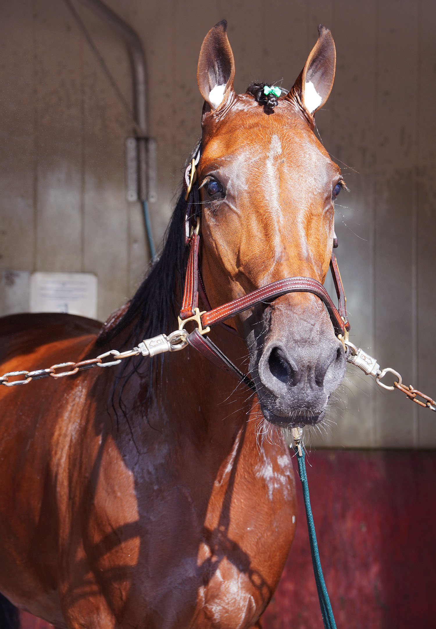 Great Old Dance 250919-6